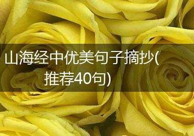 山海经中优美句子摘抄(推荐40句)