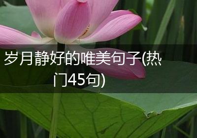 岁月静好的唯美句子(热门45句)