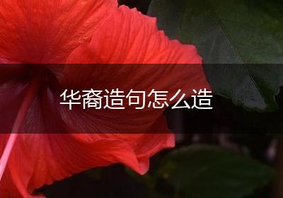 华裔造句怎么造