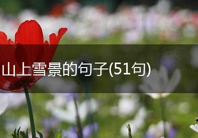 山上雪景的句子(51句)