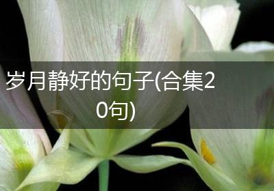 岁月静好的句子(合集20句)