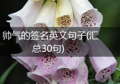 帅气的签名英文句子(汇总30句)