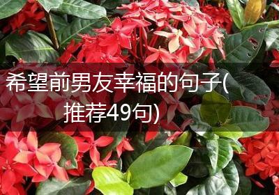 希望前男友幸福的句子(推荐49句)