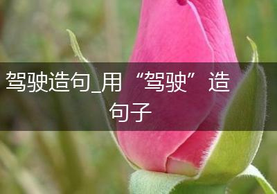 驾驶造句_用“驾驶”造句子