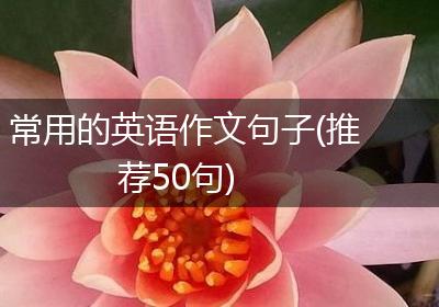 常用的英语作文句子(推荐50句)