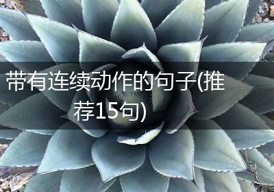 带有连续动作的句子(推荐15句)