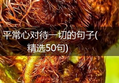 平常心对待一切的句子(精选50句)