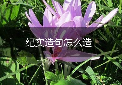 纪实造句怎么造