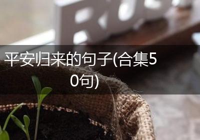 平安归来的句子(合集50句)