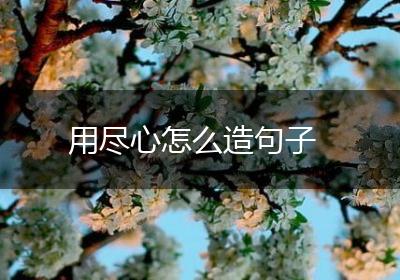 用尽心怎么造句子