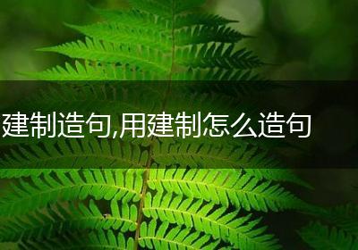 建制造句,用建制怎么造句