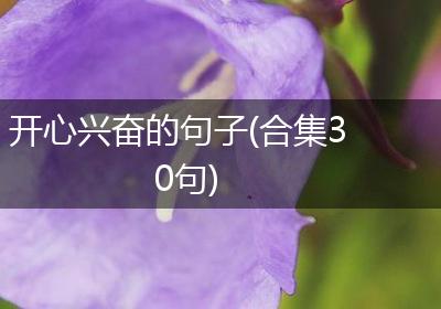 开心兴奋的句子(合集30句)