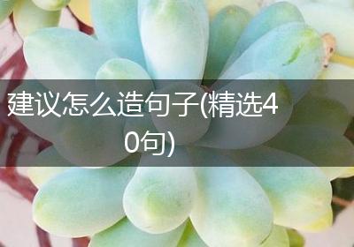 建议怎么造句子(精选40句)