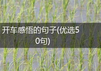 开车感悟的句子(优选50句)