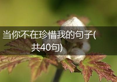 当你不在珍惜我的句子(共40句)