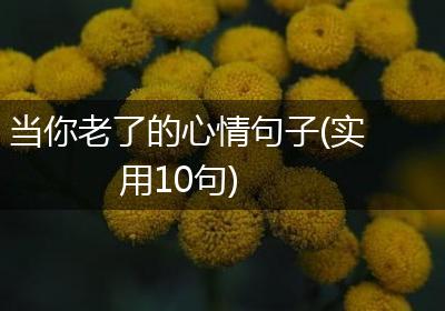 当你老了的心情句子(实用10句)