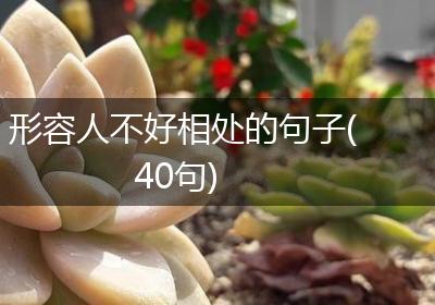 形容人不好相处的句子(40句)