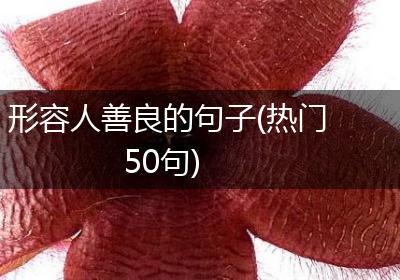 形容人善良的句子(热门50句)