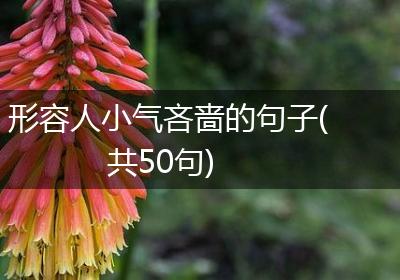 形容人小气吝啬的句子(共50句)