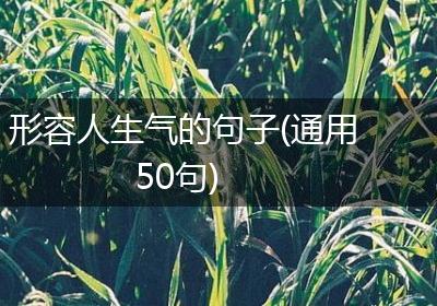 形容人生气的句子(通用50句)