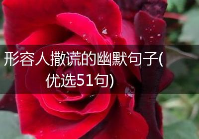 形容人撒谎的幽默句子(优选51句)