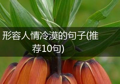 形容人情冷漠的句子(推荐10句)