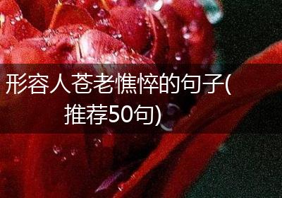 形容人苍老憔悴的句子(推荐50句)