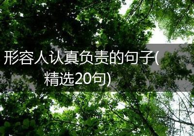 形容人认真负责的句子(精选20句)