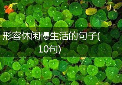 形容休闲慢生活的句子(10句)