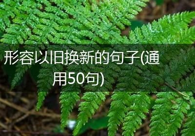 形容以旧换新的句子(通用50句)