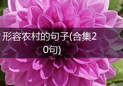 形容农村的句子(合集20句)