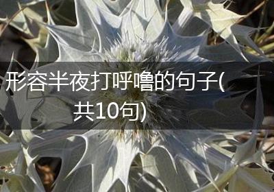 形容半夜打呼噜的句子(共10句)