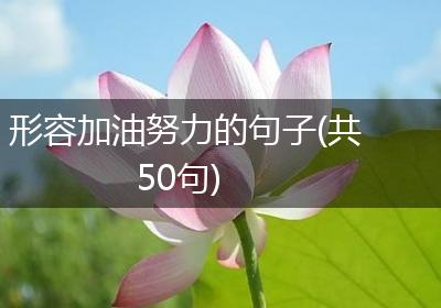 形容加油努力的句子(共50句)