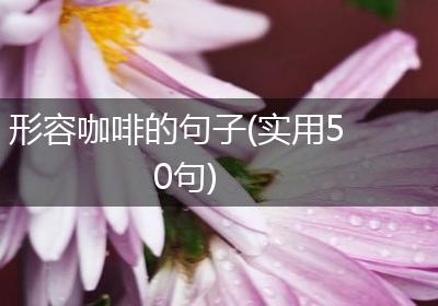 形容咖啡的句子(实用50句)