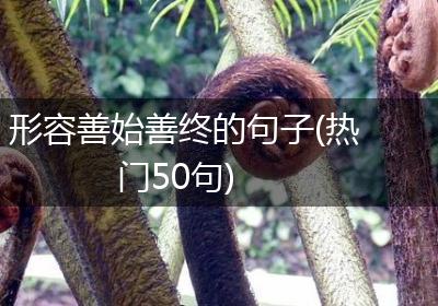 形容善始善终的句子(热门50句)
