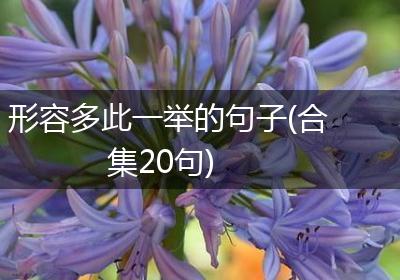 形容多此一举的句子(合集20句)
