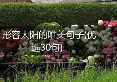 形容太阳的唯美句子(优选30句)