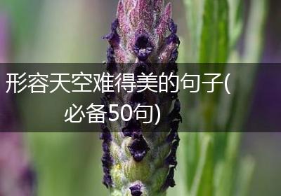形容天空难得美的句子(必备50句)