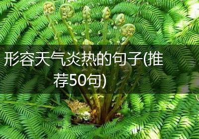 形容天气炎热的句子(推荐50句)