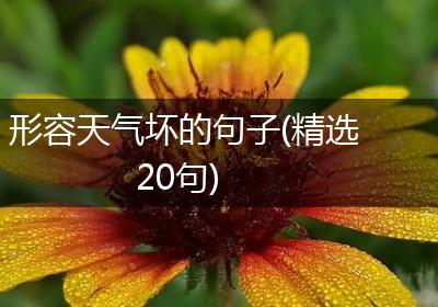 形容天气坏的句子(精选20句)