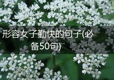 形容女子勤快的句子(必备50句)