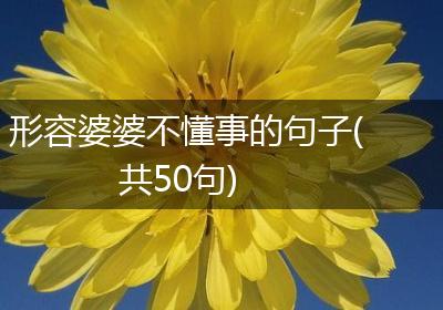 形容婆婆不懂事的句子(共50句)