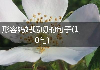 形容妈妈唠叨的句子(10句)