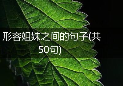 形容姐妹之间的句子(共50句)