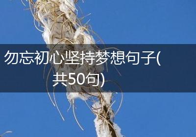 勿忘初心坚持梦想句子(共50句)