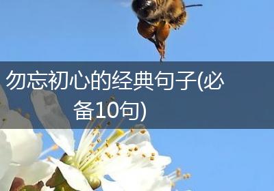 勿忘初心的经典句子(必备10句)