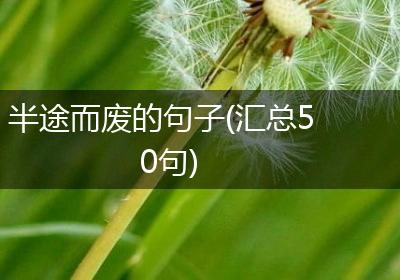 半途而废的句子(汇总50句)