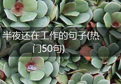 半夜还在工作的句子(热门50句)