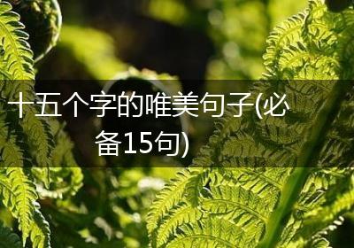 十五个字的唯美句子(必备15句)
