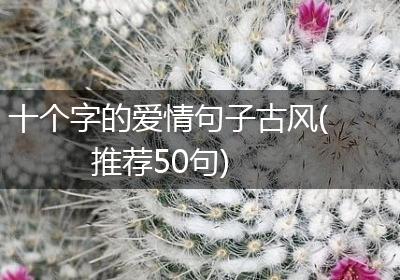 十个字的爱情句子古风(推荐50句)